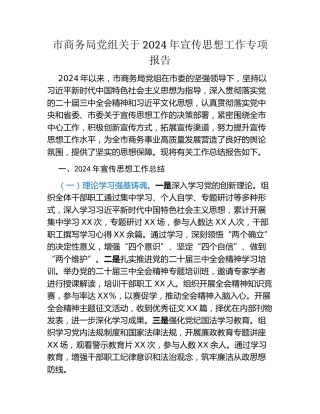 市商务局党组关于2024年宣传思想工作专项报告