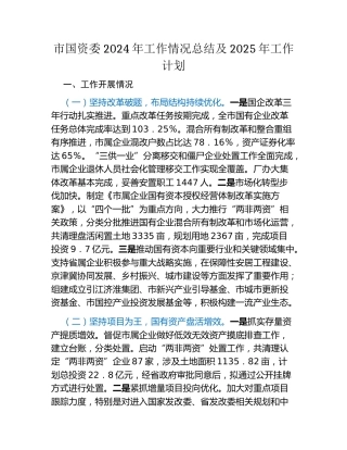市国资委2024年工作情况总结及2025年工作计划