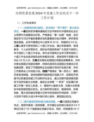 市国资委党委2024年党建工作总结及下一步工作计划（2）