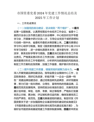 市国资委党委2024年党建工作情况总结及2025年工作计划