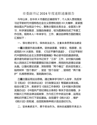 市委副书记2024年度述职述廉报告
