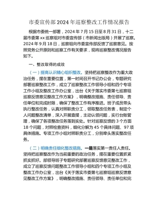 市委宣传部2024年巡察整改工作情况报告
