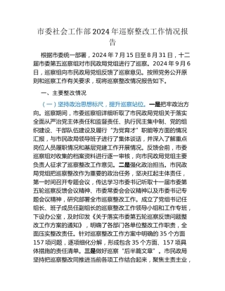 市委社会工作部2024年巡察整改工作情况报告