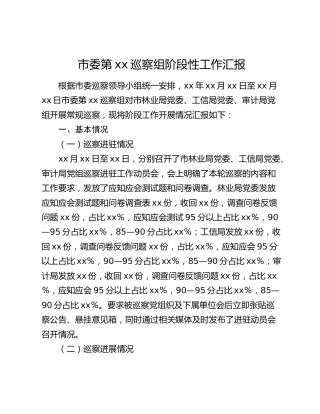 市委第xx巡察组阶段性工作汇报