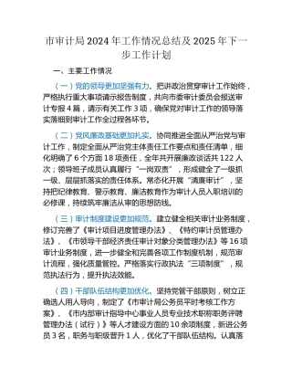 市审计局2024年工作情况总结及2025年下一步工作计划