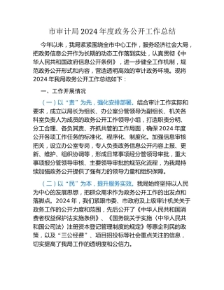 市审计局2024年度政务公开工作总结