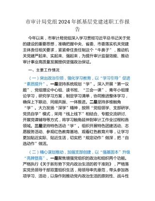 市审计局党组2024年抓基层党建述职工作报告