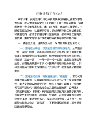 市审计局工作总结