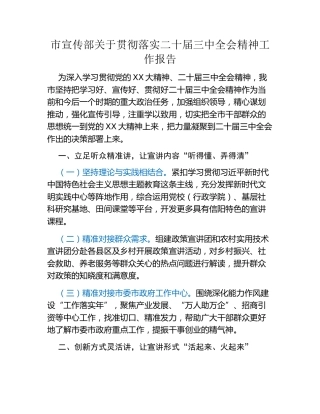 市宣传部关于贯彻落实二十届三中全会精神工作报告
