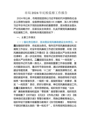 市局2024年纪检监察工作报告