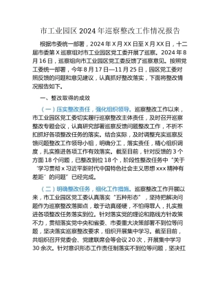 市工业园区2024年巡察整改工作情况报告