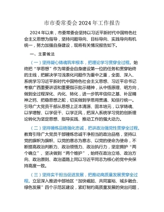 市市委常委会2024年工作报告