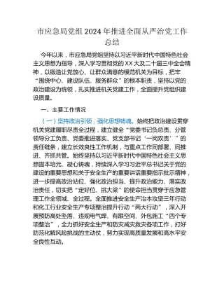 市应急局党组2024年推进全面从严治党工作总结