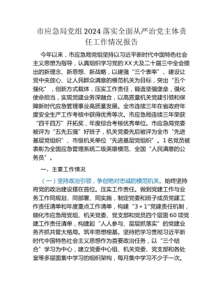 市应急局党组2024落实全面从严治党主体责任工作情况报告
