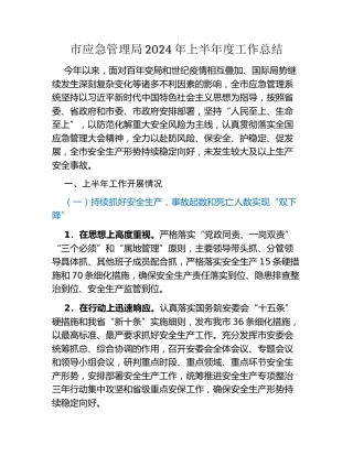 市应急管理局2024年上半年度工作总结