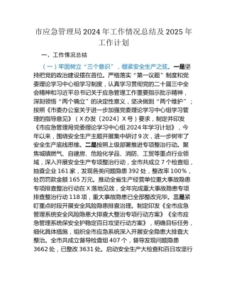 市应急管理局2024年工作情况总结及2025年工作计划