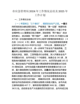 市应急管理局2024年工作情况总结及2025年工作计划（2）