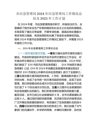 市应急管理局2024年应急管理局工作情况总结及2025年工作计划