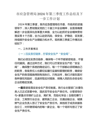 市应急管理局2024年第三季度工作总结及下一步工作计划