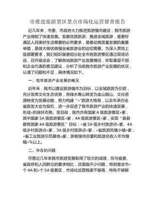 市推进旅游景区景点市场化运营督查报告