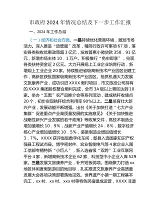 市政府2024年情况总结及下一步工作汇报