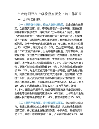 市政府领导在上级检查座谈会上的工作汇报