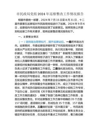 市民政局党组2024年巡察整改工作情况报告