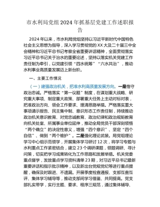 市水利局党组2024年抓基层党建工作述职报告