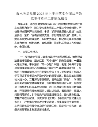市水务局党组2025年上半年落实全面从严治党主体责任工作情况报告