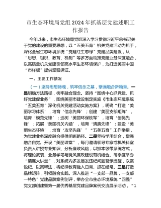 市生态环境局党组2024年抓基层党建述职工作报告