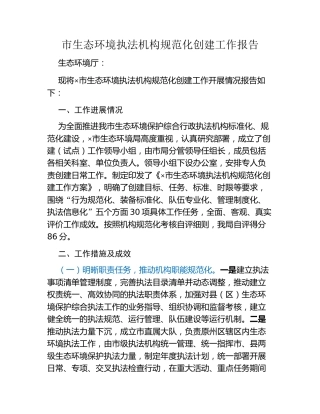 市生态环境执法机构规范化创建工作报告