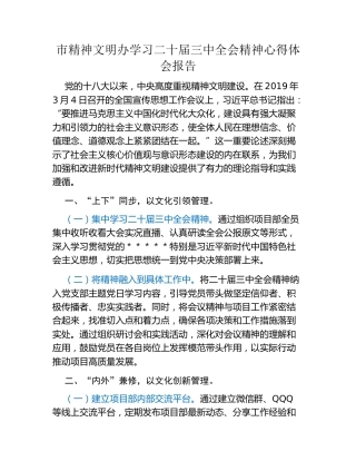 市精神文明办学习二十届三中全会精神心得体会报告