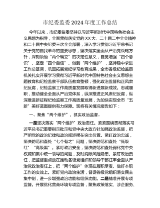 市纪委监委2024年度工作总结