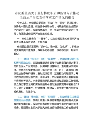 市纪委监委关于履行协助职责和监督专责推动全面从严治党责任落实工作情况的报告