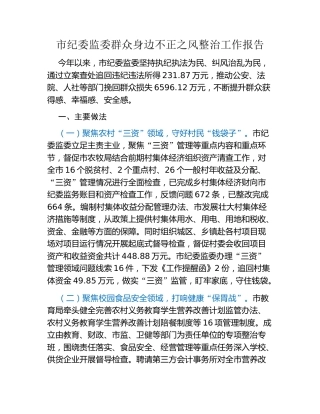 市纪委监委群众身边不正之风整治工作报告
