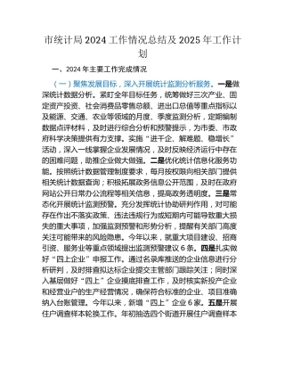 市统计局2024工作情况总结及2025年工作计划