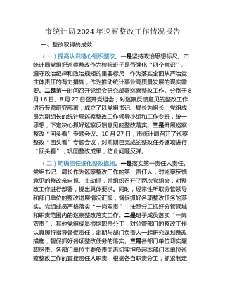 市统计局2024年巡察整改工作情况报告