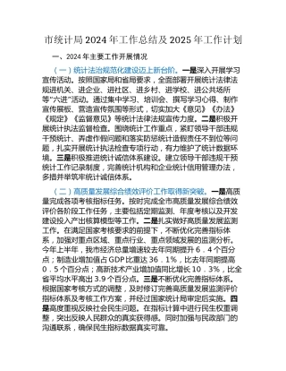 市统计局2024年工作总结及2025年工作计划
