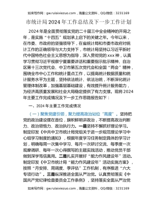 市统计局2024年工作总结及下一步工作计划