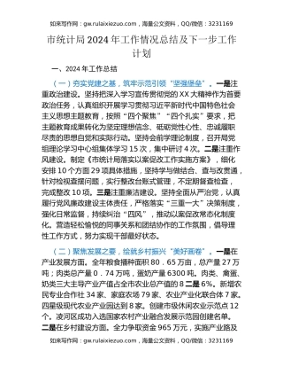 市统计局2024年工作情况总结及下一步工作计划