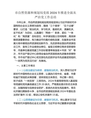 市自然资源和规划局党组2024年推进全面从严治党工作总结