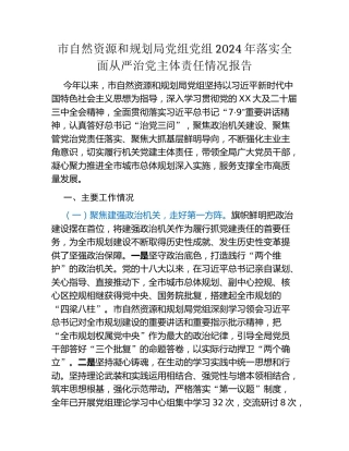 市自然资源和规划局党组党组2024年落实全面从严治党主体责任情况报告