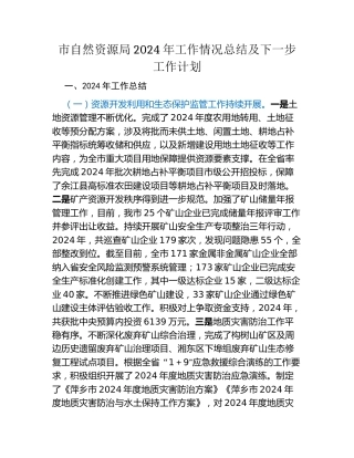 市自然资源局2024年工作情况总结及下一步工作计划