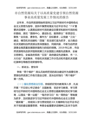 市自然资源局关于以高质量党建引领自然资源事业高质量发展工作情况的报告