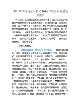 市行政审批局党组书记2024年抓基层党建述职报告