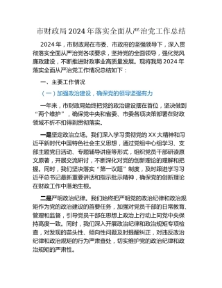 市财政局2024年落实全面从严治党工作总结