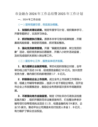 市金融办2024年工作总结暨2025年工作计划