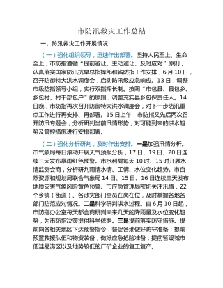 市防汛救灾工作总结
