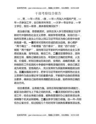 干部考察综合报告