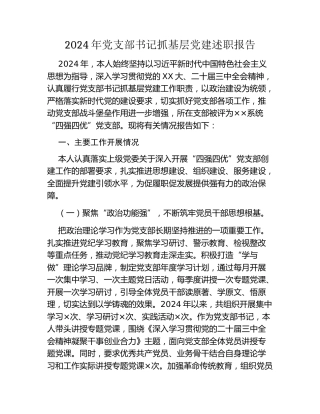 年党支部书记抓基层党建述职报告
